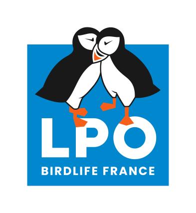 image profil