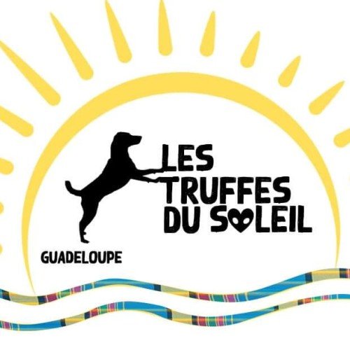 image profil