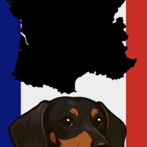 image profil