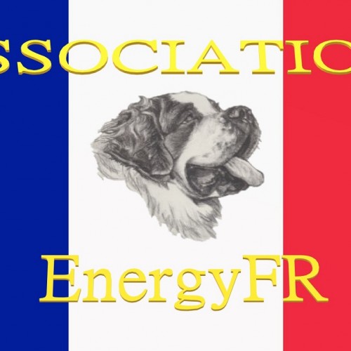 image profil