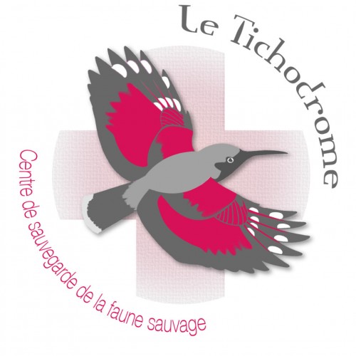 image profil
