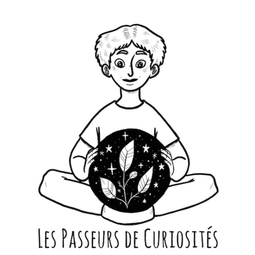 image profil